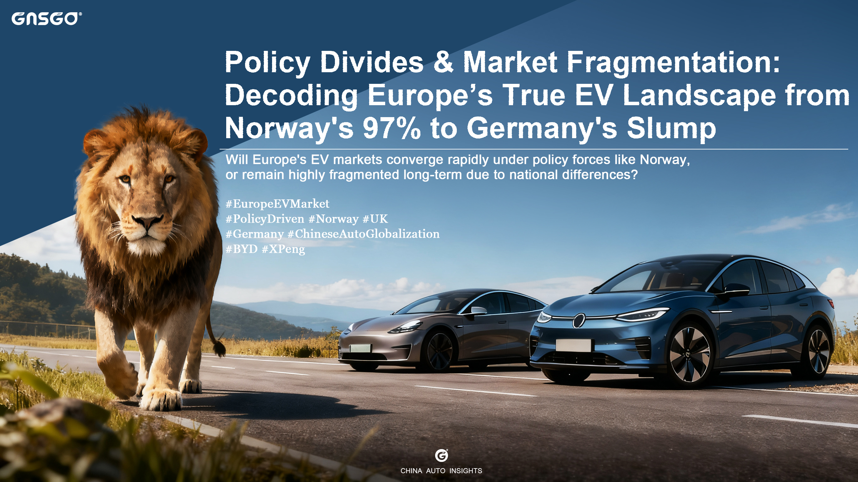 Policy Divides & Market Fragmentation: Decoding Europe’s...
